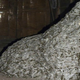 Image for article titled Holy Hell, A Giant 22 Foot Wasp Nest Is the Most Terrifying Thing